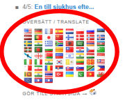 Flaggor på startsidan byter språk på hela hemsidan.