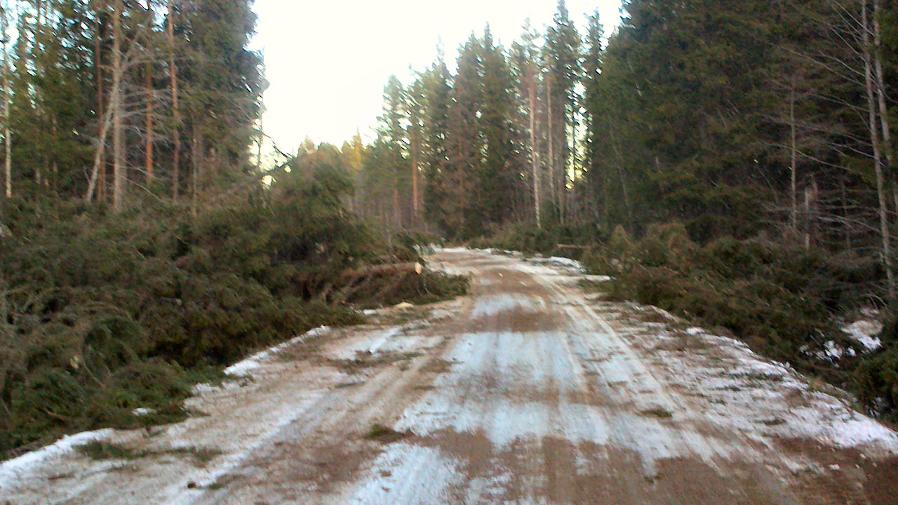 Att försöka ta sig till Liden var under natten-morgonen ingen större idé utan motoråg, helst skogsmaskin.