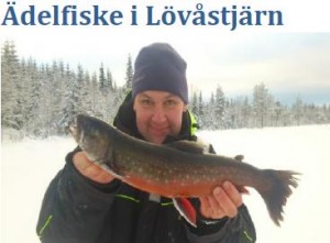 Ädelfisk mwen Lövåstjarn.